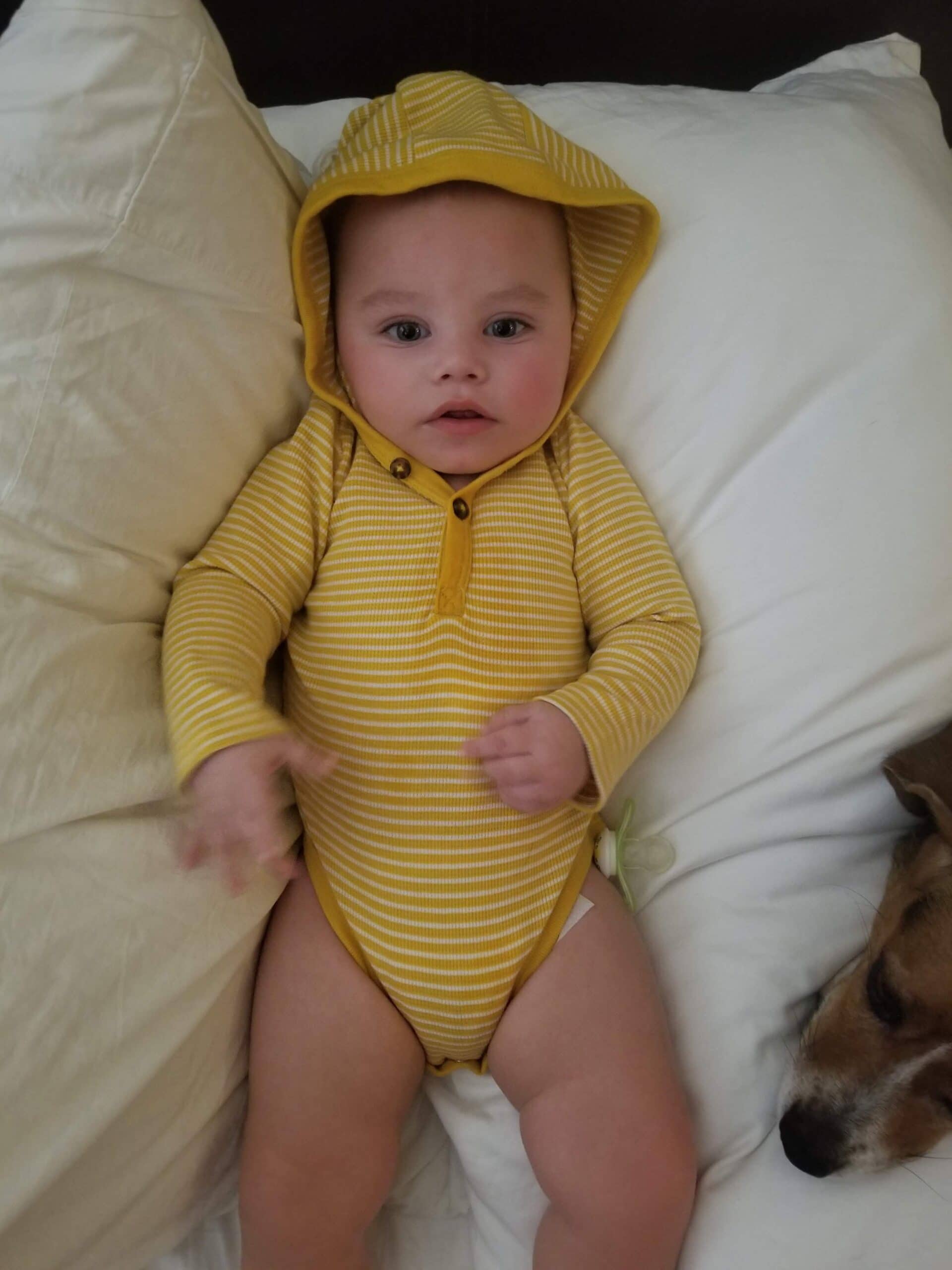 Dominic Jordan Jimenez