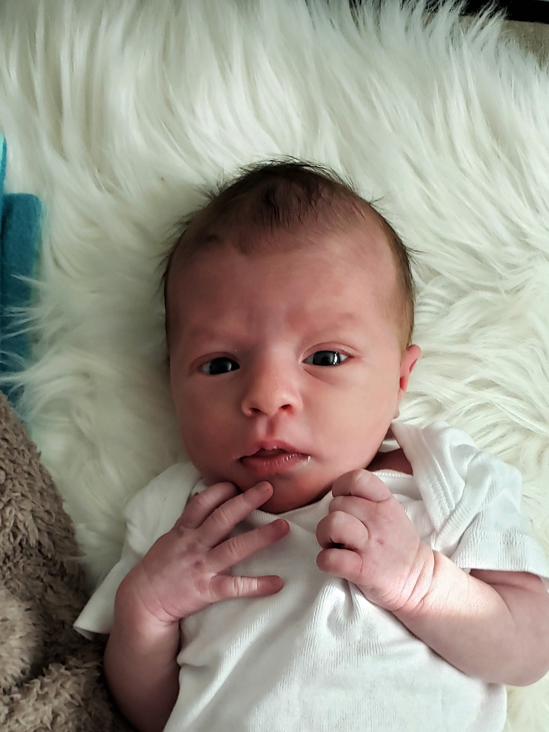 Chloe Rae Jenson