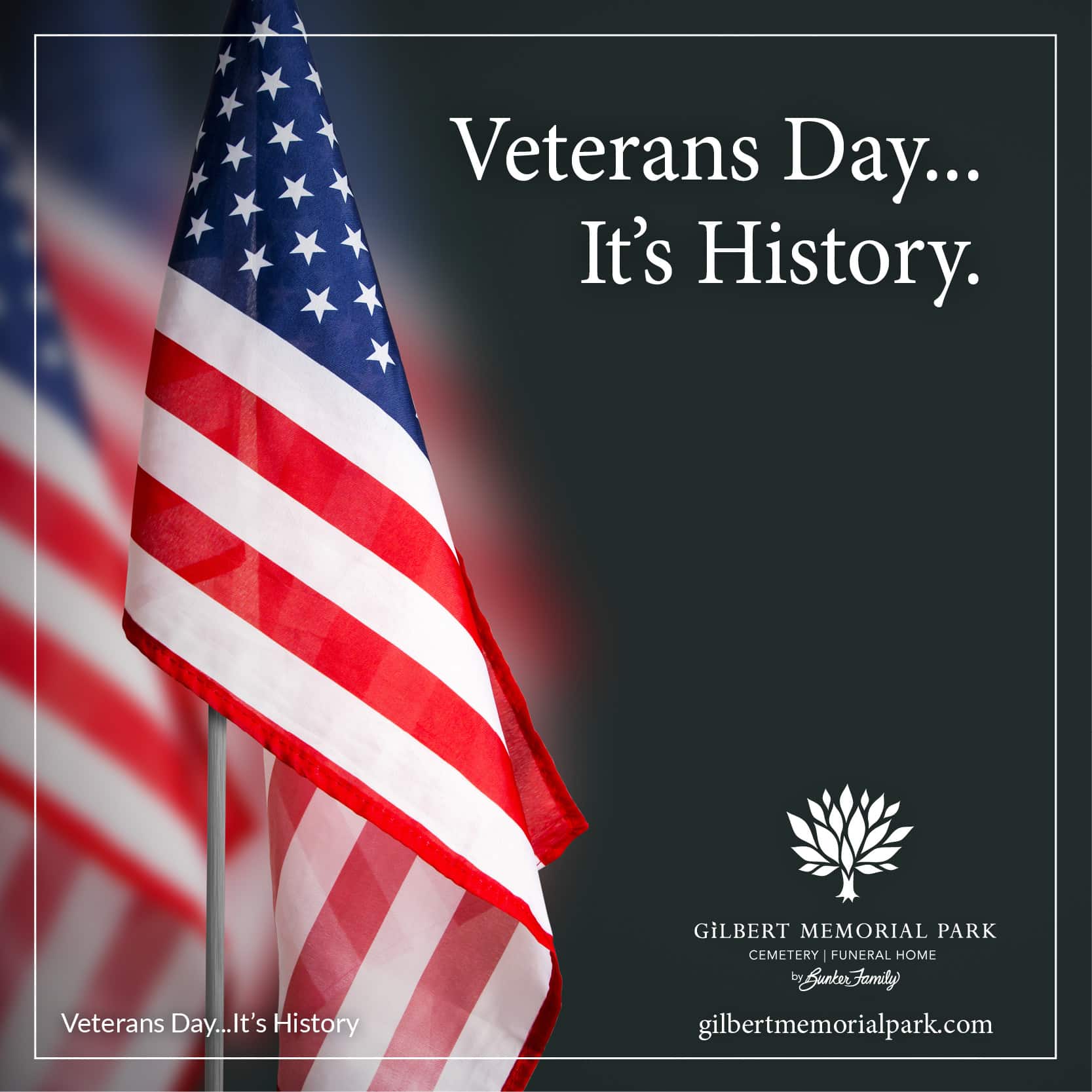 The History of Veterans Day