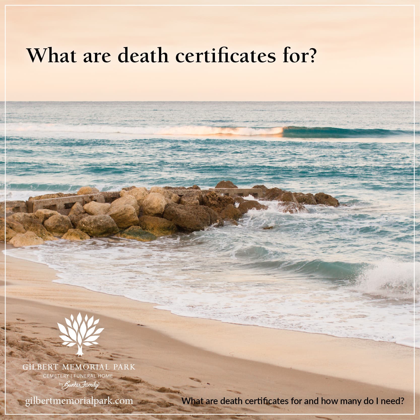 What Are Death Certificates for and How Many Do I Need?