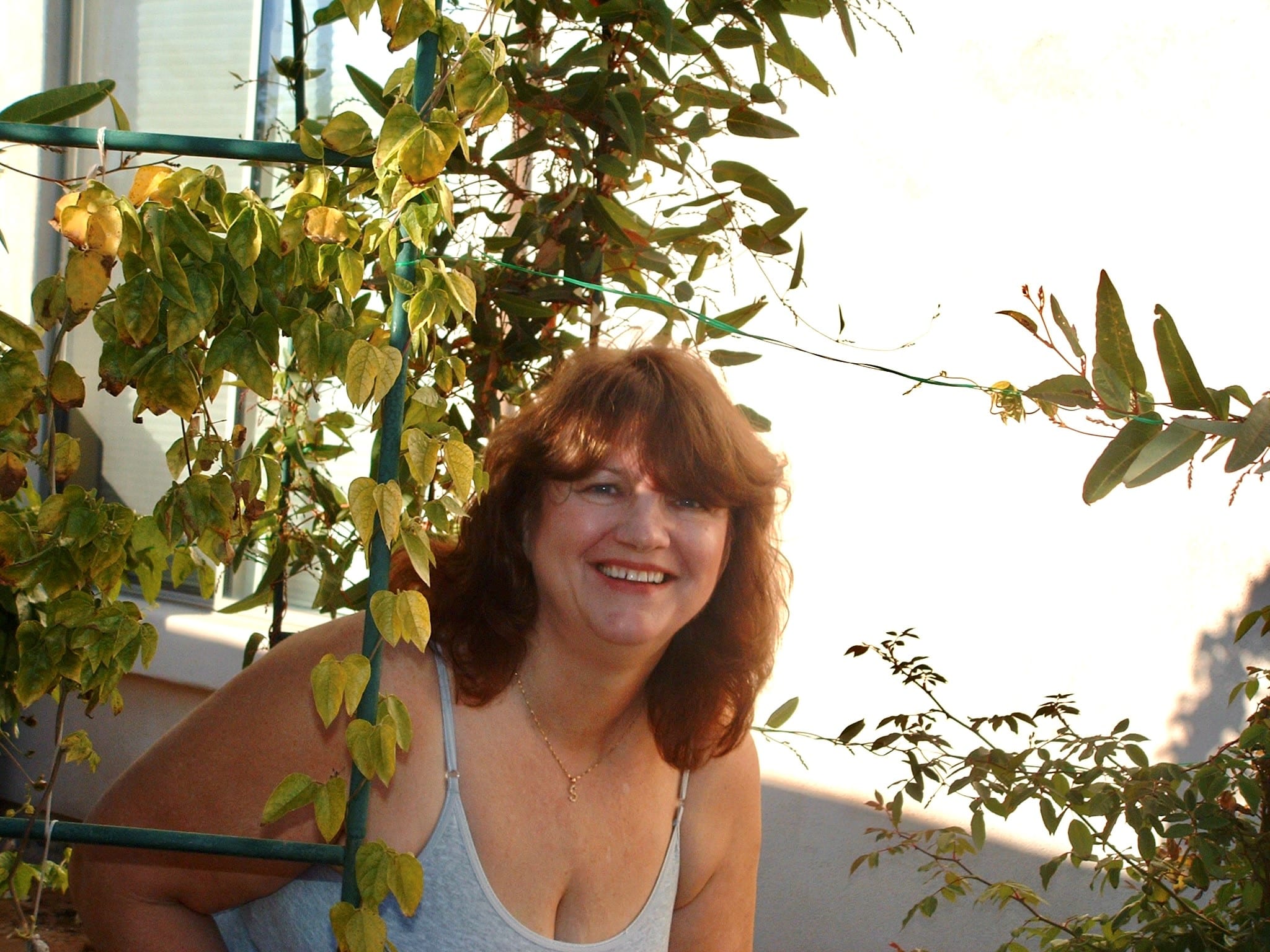 Sandra Jennifer McCalpin Lewis