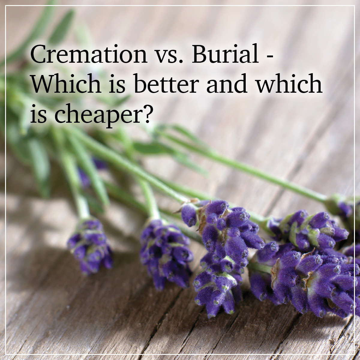 Cremation vs. Burial – Which Is Better and Which Is Cheaper?